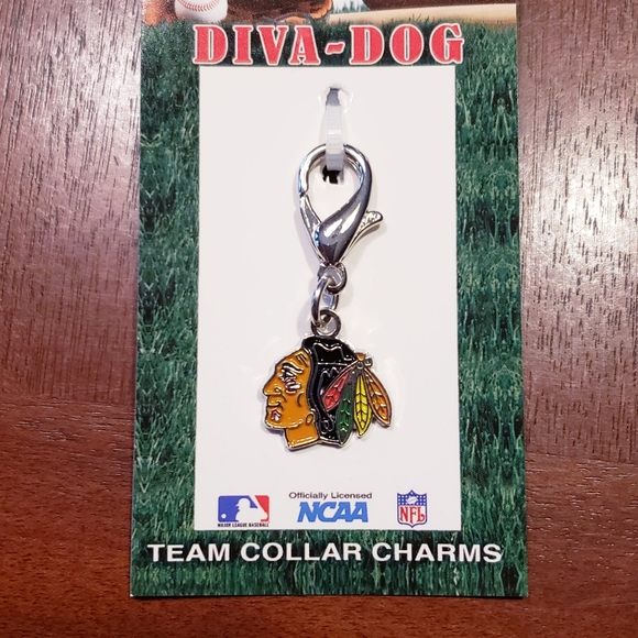 HOST PICK!! Clearance! Chicago Blackhawks Dog Collar Charm - Picture 1 of 2